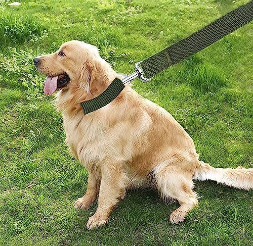 TAIAN 4FT/5FT/6FT Strong Dog Leash, Nylon Dog Leashes for Small Medium Large Dogs (3/4 in x 5 ft, Green) - Image 7