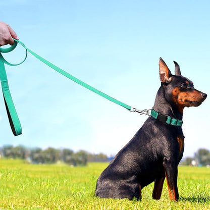 FunTags 6FT Reflective Dog Leash with Soft Padded Handle for Training,Walking Lead for Medium & Small Dogs,3/4 Inch Wide,Turquoise