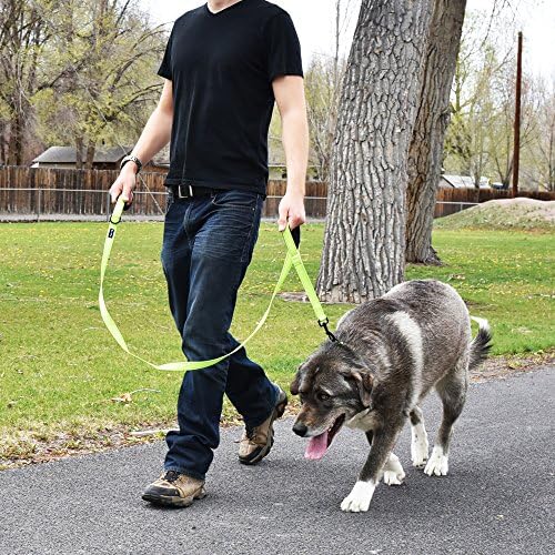 Wagtime Club Heavy Duty Double Handle Dog Leash for Large Medium Small Dogs - Image 6