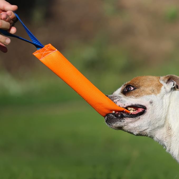 K9 Dog Bite Tug Toy with 2 Strong Handle - Made of Durable & Tear-Resistant Fire Hose - Perfect for Tug of War, Fetch & Puppy Training - Ideal Pull Toy for Medium to Large Dogs, 10 Inches