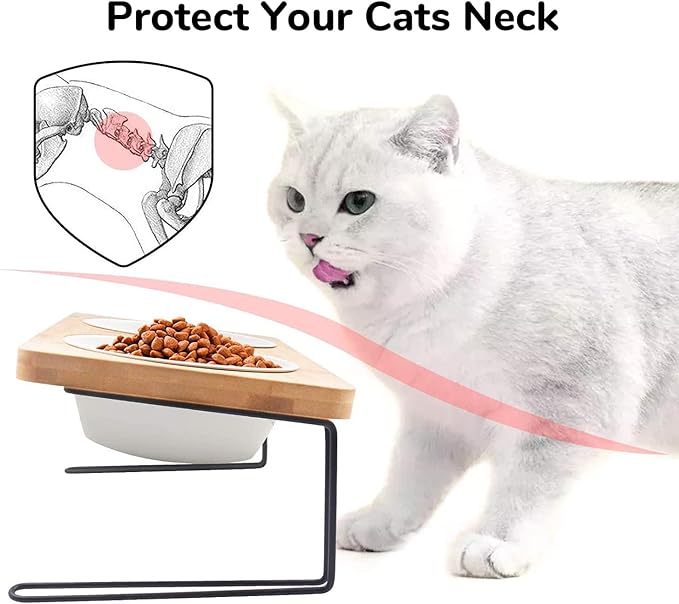 FUKUMARU Elevated Cat Ceramic Bowls, Small Dog 15° Tilted Raised Food Feeding Dishes, Solid Bamboo Water Stand Feeder Set for Cats and Puppy