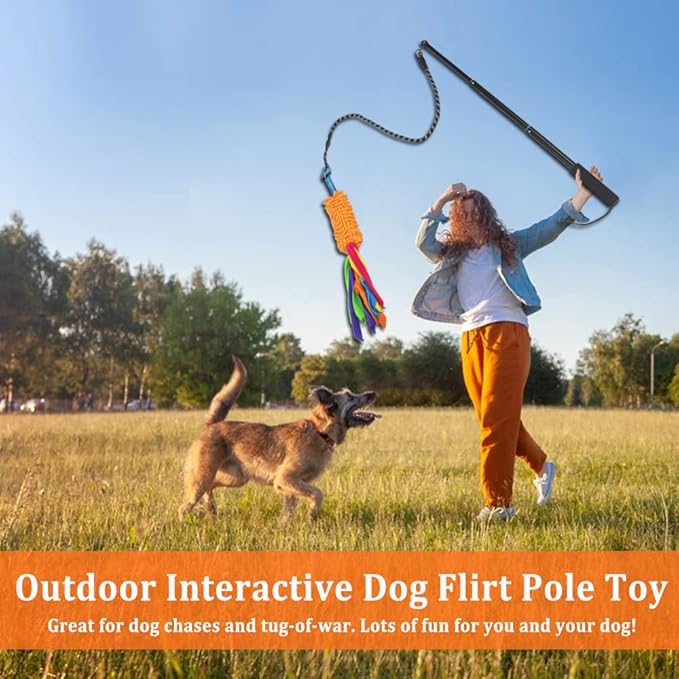 ASOCEA Dog Tug Toy with Flirt Pole, Aggressive Chewers Dog Squeaky Bungee Rope Chase Pull Tug of War Lure Toy with Teaser Wand for Small Medium Large Dogs Puppy Outdoor Exercise & Training