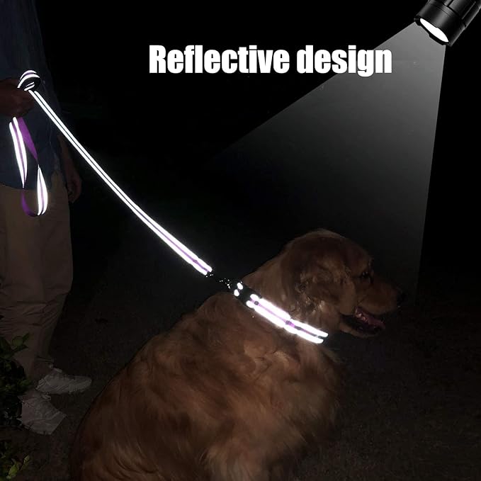 FunTags 6FT Reflective Dog Leash with Soft Padded Handle for Training,Walking Lead for Large & Medium Dog,1 Inch Wide,Purple