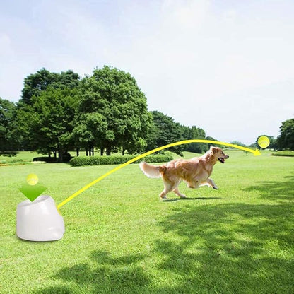 ALL FOR PAWS Automatic Ball Launcher for Dogs Interactive Puppy Pet Ball Indoor Thrower Fetch Machine, 3 Balls Included (2 inch) + Six Tennis Balls Bundle