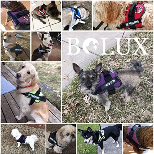 Dog Harness, No-Pull Reflective Dog Vest, Breathable Adjustable Pet Harness with Handle for Outdoor Walking - No More Pulling, Tugging or Choking (Army Yellow, S) - Image 5
