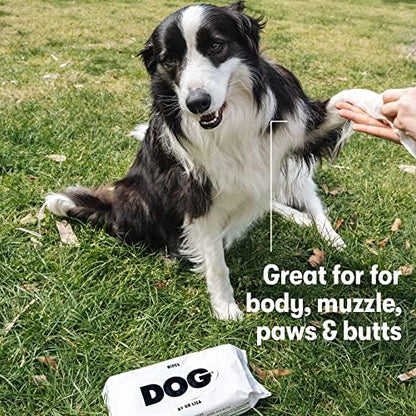 DOG by Dr. Lisa - Dog Wipes - Plant-Based, Natural Bathing Wipes for Dogs - Made from 100% Compostable Bamboo - Vet-Created - Vegan, Non-Toxic - 80 Count - Image 4