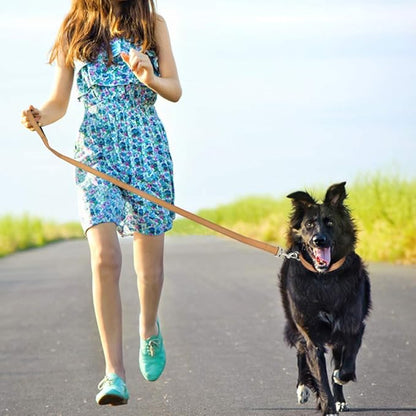 FunTags 4FT Reflective Dog Leash with Soft Padded Handle for Training,Walking Lead for Large & Medium Dog,1 Inch Wide,Khaki