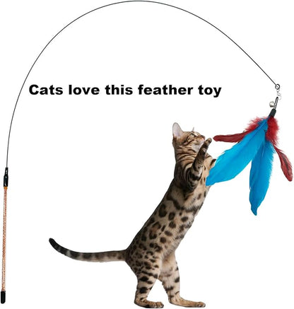 Cat Feather Toys Refills, 10 Pieces Cat Wand Replacement Feathers Toy for Indoor Cats