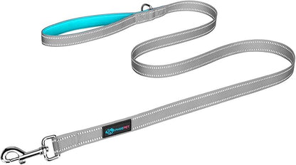 PHOEPET 5 Feet Dog Leash - Dual-Side Reflective - Soft Padded Handle - Fit for Walking, Training or Exploring Hiking, Camping (Grey + Mint Green Base)