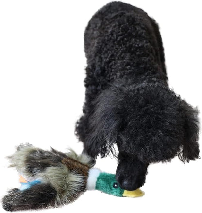 ALL FOR PAWS Duck Squeaky Doy Toy, Duck Dog Toy for Medium Large Breed, Puppy Fetch Toy with Squeaker, Plush Chew Dog Toy, 18 x 9.1 x 3.9 inches, Classic - Mallard L
