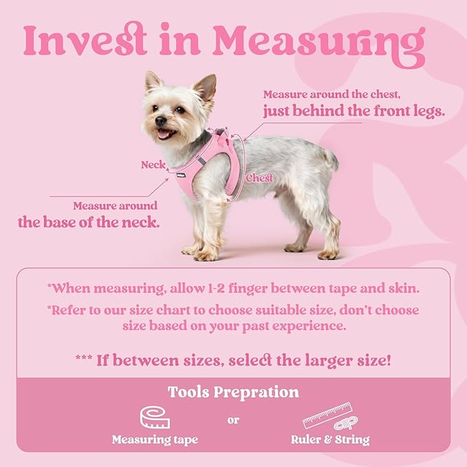 rabbitgoo Small Dog Harness, Step-in Soft Mesh Puppy Vest with Safety Buckle, Breathable Reflective Pet Harness for Small Medium Dogs, Light Pink L