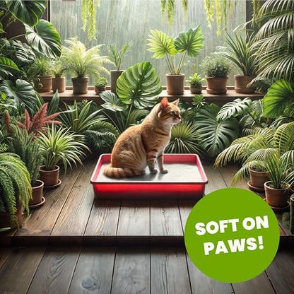 Almo Nature Soft Texture Cat Litter 5 lbs - Plant-Based, Clumping, Biodegradable, Non-Toxic, Compostable, Eco-Friendly, Odor Control, Low Dust, Safe for Cats & Kittens - Image 6