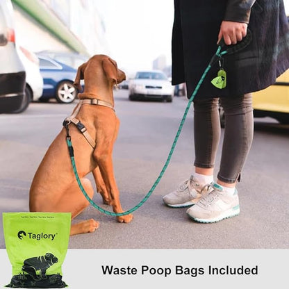 Taglory Rope Dog Leash 6 FT with Comfortable Padded Handle, Highly Reflective Threads Leash and Anti-Tangle Clip for Walking Small Dogs, 3/8 inch, Turquoise