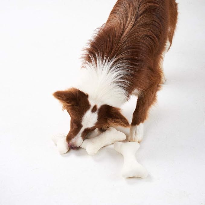 JOYELF Squeaky Dog Toy Plush Dog Chew Toy for Puppy Dogs, Interactive Non Toxic Chase Fetch Dog Toys with Squeakers for Dogs, 3 Pack Bones