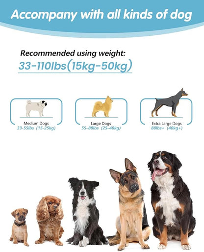 Hands Free Dog Leash, Multifunctional Crossbody Leash, Long Waist Dog Belt with Car Safety Buckle and Double-Sided Reflective Stitches（Blue 5.3-7.9ft-Medium）