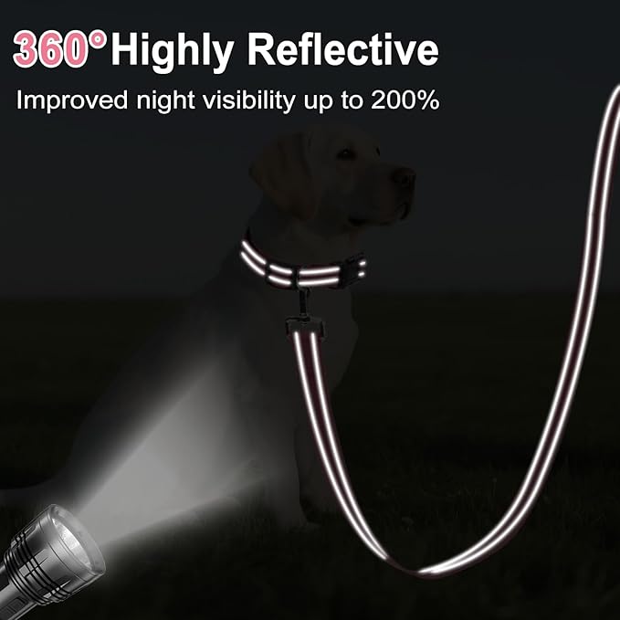 Reflective Dog Leash 4ft Soft Padded Handle Nylon Lead for Small & Medium Dogs, Durable Walking Training Leash for Night Safety (Neon Pink,3/4Inch Wide)