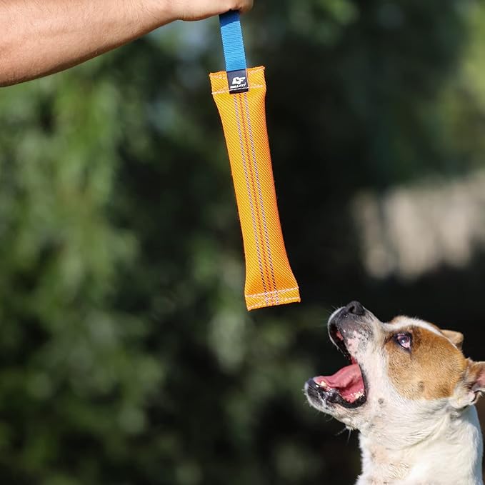 K9 Dog Bite Tug Toy with 2 Strong Handle - Made of Durable & Tear-Resistant Fire Hose - Perfect for Tug of War, Fetch & Puppy Training - Ideal Pull Toy for Medium to Large Dogs, 10 Inches