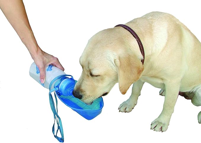 Lixit Hand Held Foldable Travel Hiking Outdoor Watering Bottle Bowl for Dogs (Pack of 2, Granite)