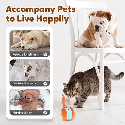 Interactive Dog Toy,2026 New Automatic Rolling Ball with Rope for Cat, Durable Dogs Rope Toy for Chewing and Playing, Dogs Ball Toy for Puppy Cats (Orange/2pcs)