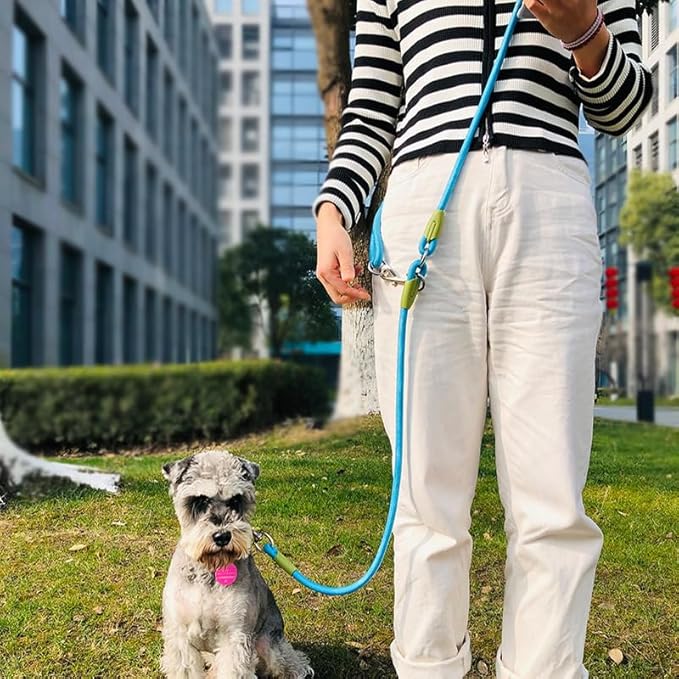pawstrip Hands Free Dog Leash Crossbody Dog Running Leash Handsfree Pet Rope for Hiking Training Heavy Duty Reflective Pet Walking Belt (Blue)
