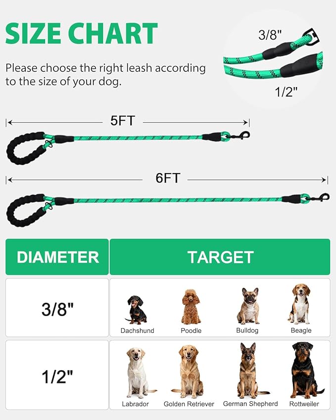 Joytale Dog Leash for Large Dogs, Heavy Duty Nylon Leashes with Comfortable Padded Handle and Highly Reflective Threads, Ideal for Walking and Training, Teal, 5'×1/2''