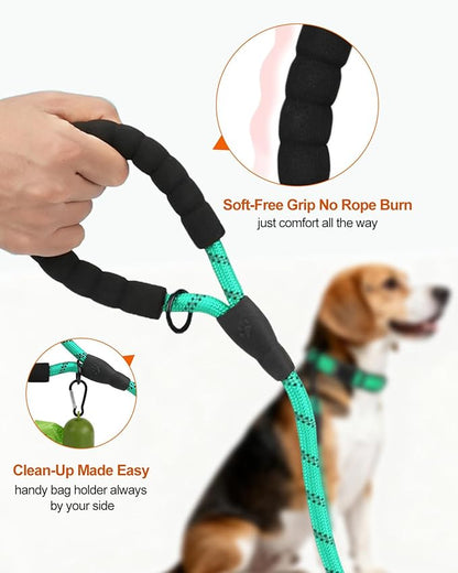 Joytale Dog Leash for Small Dogs, Heavy Duty Nylon Leashes with Comfortable Padded Handle and Highly Reflective Threads, Ideal for Walking and Training, Teal, 6'×3/8''