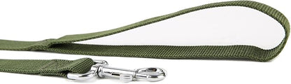 Nylon Dog Training Leash, Traction Rope, 4Ft /5 Foot /6 Feet Long, 5/8 inch 3/4 Inch 1 Inch Wide, for Small and Medium Dogs (Green, 1'' x 15 FT)