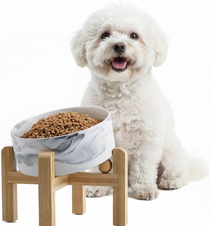 hjn Elevated Ceramic Dog Bowl 15°Slanted Raised Dog Bowl with Bamboo Stand for Small Medium Dogs and Cats, Pet Feeder -3.6-Cup (850ml)-Marble Gray