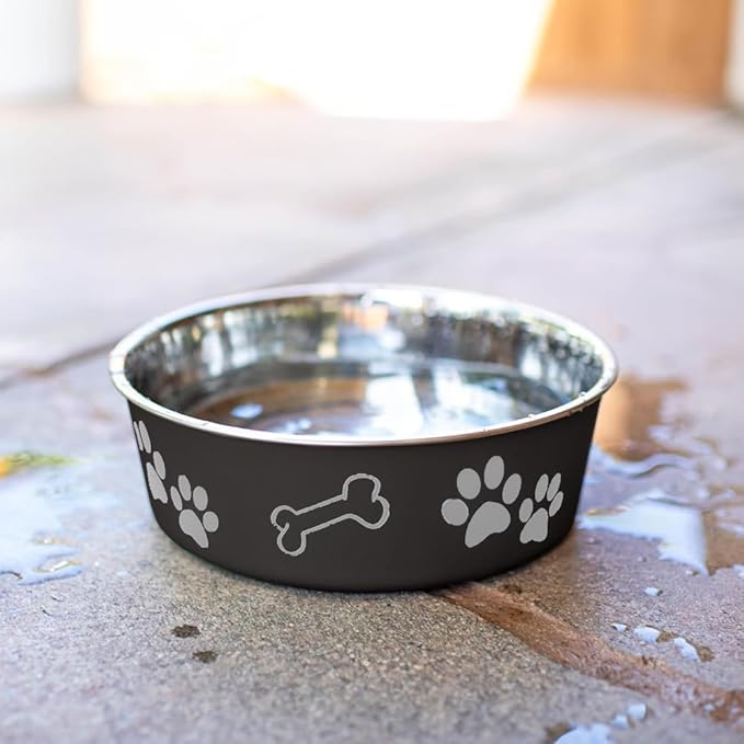Loving Pets Bella Dog Bowls- Stainless Steel Dog & Cat Bowls - Spill Proof Dog Food Bowl, Cat Bowl, Puppy Essentials & Pet Supplies Great for Home & Travel (Medium 20-35 lbs, Espresso)
