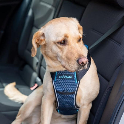 CarSafe Crash Tested Dog Safety Harness - Crash Tested to 32Kg/70lbs, Safely Secure Dog in The Car, Comfortable and Padded Design. for Toy, Small, Medium and Large Dogs (Size Large)
