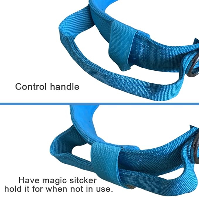 Xqpetlihai Tactical Dog Collar and Leash Set Adjustable Military Nylon Dog Collar with Control Handle and Heavy Duty Metal Buckle for Large Dogs（Blue S