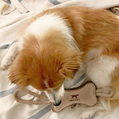 Tall Tails Dog Natural Leather Bone Rope Tug Toy for Dogs, 16 Inches