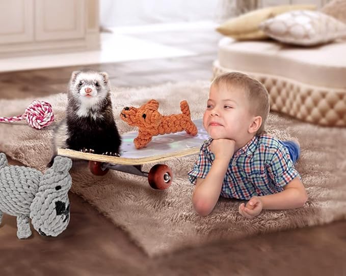 6 Pack Ferret Rope Chew Toys Durable Knotted Rope Tug Perfect for Teething Mammals Cotton Claws Grinding Toys Interactive Dog Cat Toy Set