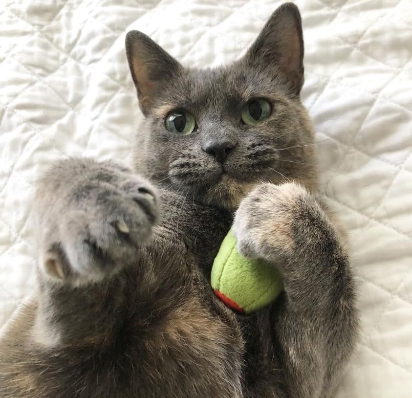 munchiecat Olive Cat Toy Set - 2-Piece Organic Catnip Toys with Soft Rattle, Perfect for Batting & Rolling - Designed for Cats, Ideal Gift for Cat Lovers - Image 6