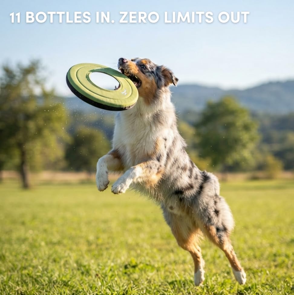 OllyDog Mini Super Flyer, Dog Flying Disc – Floating Fetch Toy, Soft on Teeth, Eco-Friendly Recycled Material, Lightweight, for Small & Medium Dogs (Palm, 9") - Image 3