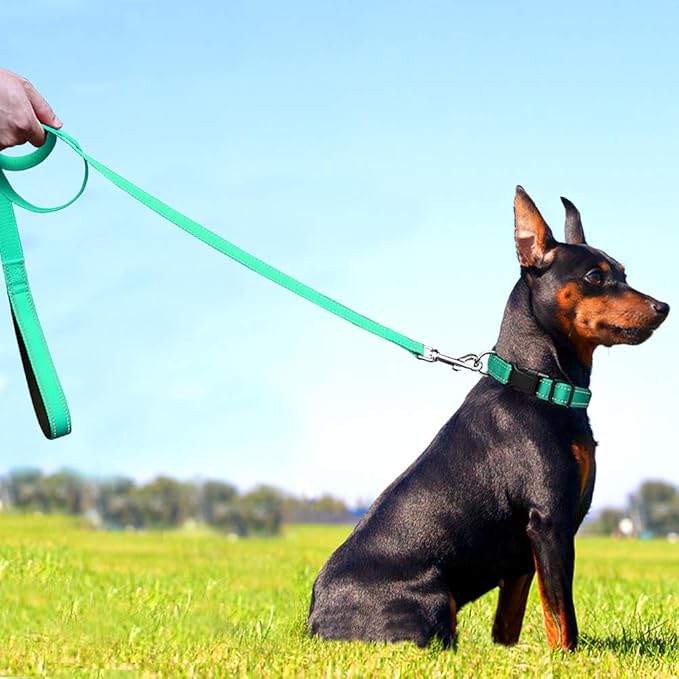 FunTags 4FT Reflective Dog Leash with Soft Padded Handle for Training,Walking Lead for Medium & Small Dogs,3/4 Inch Wide,Turouoise
