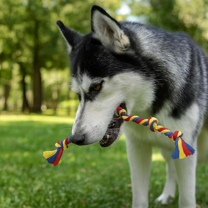 Dog Rope Toys for Medium and Large Dogs | Strong Cotton Rope Set for Chewing, Teething Comfort, Tug Play and Daily Interactive Activities | (2 pcs Dog Toys Combo)