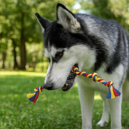 Dog Rope Toys for Medium and Large Dogs | Strong Cotton Rope Set for Chewing, Teething Comfort, Tug Play and Daily Interactive Activities | (2 pcs Dog Toys Combo)
