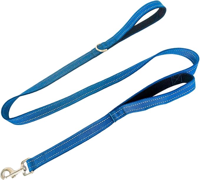 Dual Padded Handle Standard Dog Leashes with Reflective Stitching,360° Rotatable Heavy Duty Metal Buckle,D-Ring,Durable Nylon,for Medium Sized Dogs from 20 to 60 Pounds Walking and Training Blue 5Ft