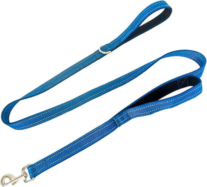 Dual Padded Handle Standard Dog Leashes with Reflective Stitching,360° Rotatable Heavy Duty Metal Buckle,D-Ring,Durable Nylon,for Medium Sized Dogs from 20 to 60 Pounds Walking and Training Blue 5Ft