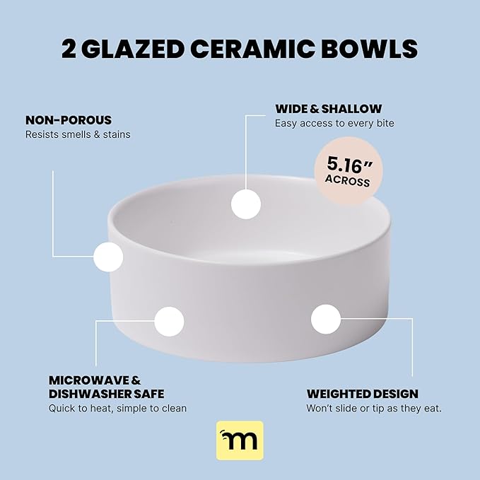 MalsiPree Elevated Dog Bowls - Puppy Adoption Gifts & Cute Puppy Accessories - 45° Tilt Feeding Station with Ceramic Dishes - Food and Bowls Set - Dog Birthday Gifts for Small Pets - Sand Beige