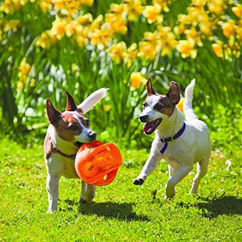 KONG Jumbler Ball, Interactive Fetch Toy, for Large/XL Dogs, Random Color - Image 2