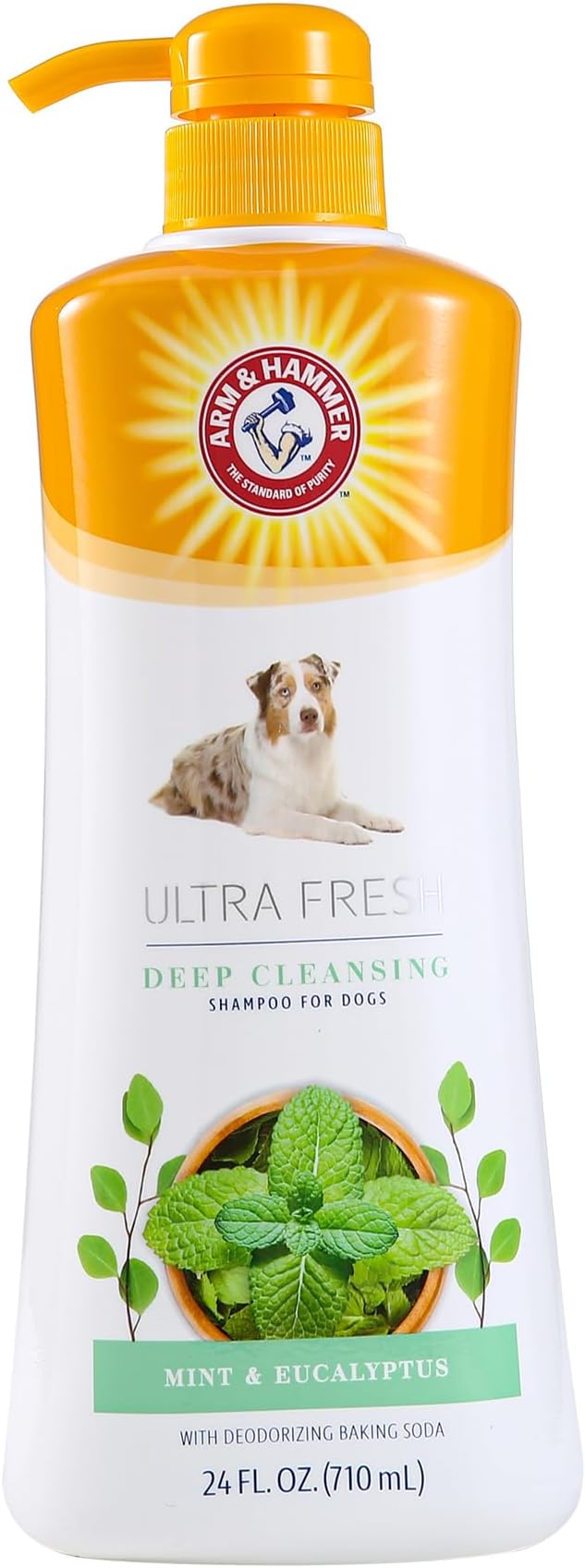 Arm & Hammer Ultra Fresh Charcoal Dog Shampoo with Rosemary for Deep Cleansing and Odor Control, Baking Soda Deodorizing Pet Shampoo, Pump Bottle Dog Wash, Eucalyptus Mint Scent, 24 Fl Oz