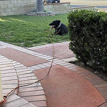 BTINESFUL Tie-Out Check Cord Long Rope Dog Leash, 8ft 12ft 20ft 30ft 50ft 75ft Recall Training Dog Lead, Large Medium Dogs Tether for Outdoor Playing, Camping, or Backyard (50ft, Orange Black) - Image 4
