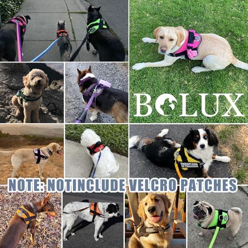 Dog Harness, No-Pull Reflective Dog Vest, Breathable Adjustable Pet Harness with Handle for Outdoor Walking - No More Pulling, Tugging or Choking - Image 7