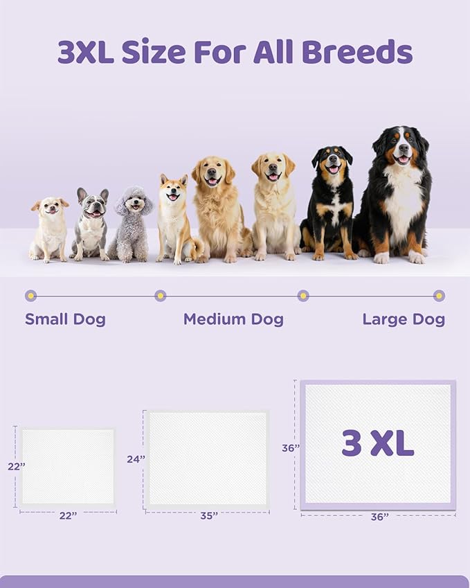 36"x36" 4XL Lavender Scented Disposable Dog Pee Pads, 30 Count | Extra Large Puppy Training Pads with 6-Layer Super Absorbent Protection, Leakproof Puppy Pads for Large Dogs & Senior Pets