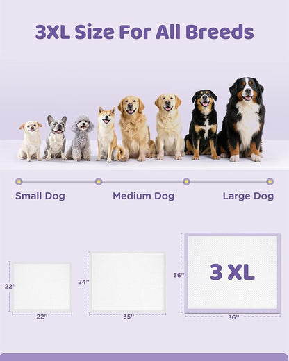 36"x36" 4XL Lavender Scented Disposable Dog Pee Pads, 30 Count | Extra Large Puppy Training Pads with 6-Layer Super Absorbent Protection, Leakproof Puppy Pads for Large Dogs & Senior Pets