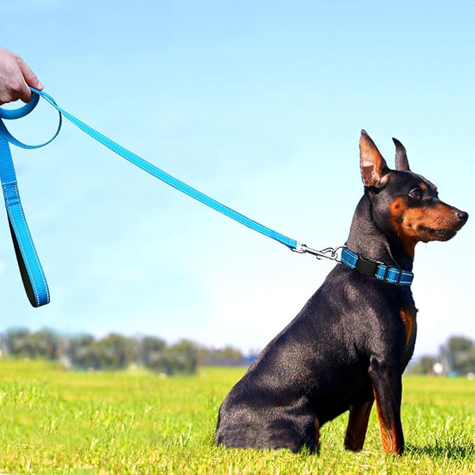 FunTags 6FT Reflective Dog Leash with Soft Padded Handle for Training,Walking Lead for Medium & Small Dogs,3/4 Inch Wide,SkyBlue