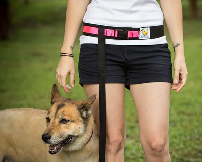 Squishy Face Studio Hands Free Dog Leash Belt - Medium-Large - Neon Orange