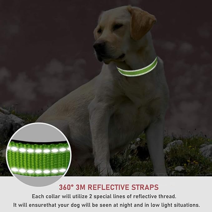 Reflective Dog Collar with Buckle Adjustable Safety Nylon Collars for Small Medium Large Dogs, Grass Green L